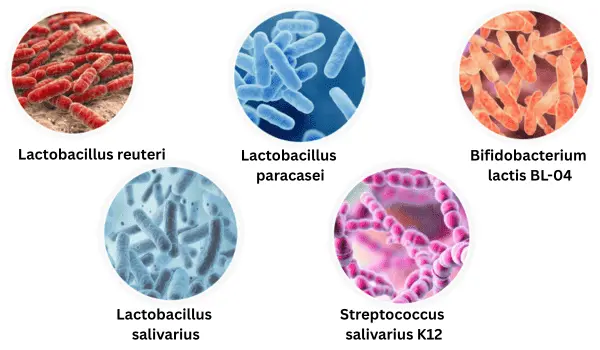 Ikaria Lean Belly Juice dentavive ingredients